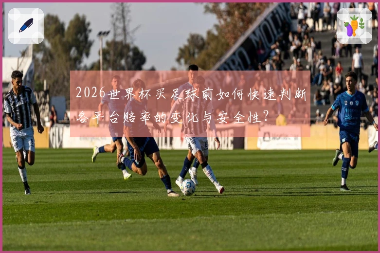 2026世界杯买足球前如何快速判断各平台赔率的变化与安全性？