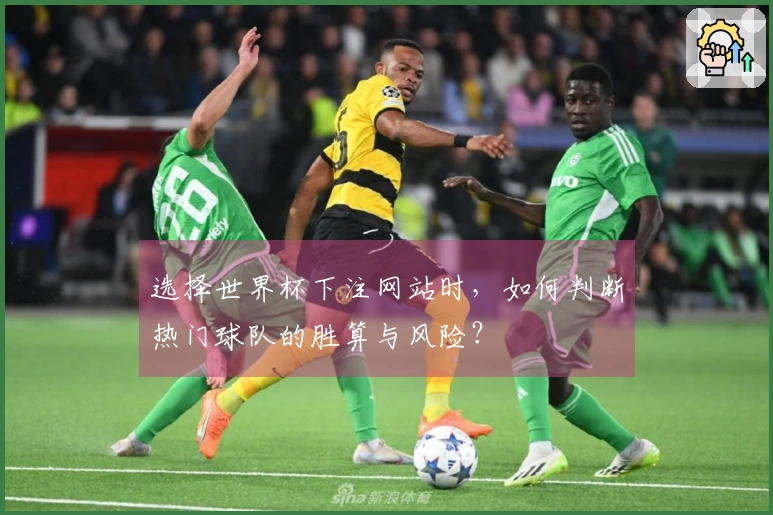 选择世界杯下注网站时，如何判断热门球队的胜算与风险？