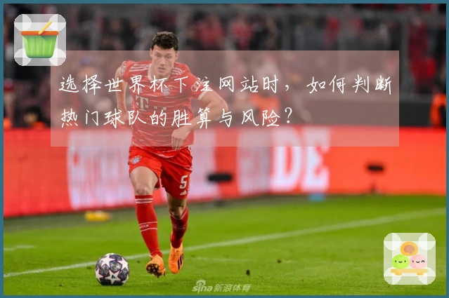 选择世界杯下注网站时，如何判断热门球队的胜算与风险？