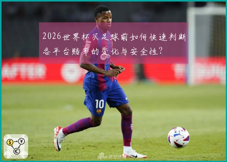 开云体育资讯图片