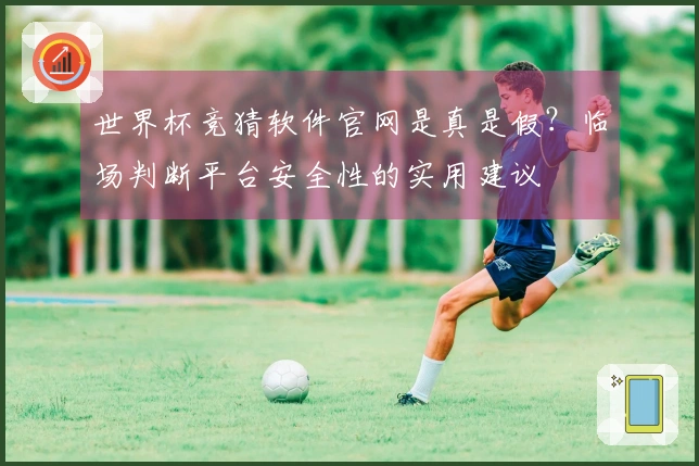 世界杯竞猜软件官网是真是假？临场判断平台安全性的实用建议