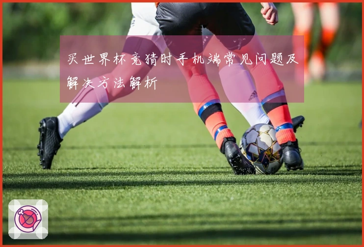 买世界杯竞猜时手机端常见问题及解决方法解析