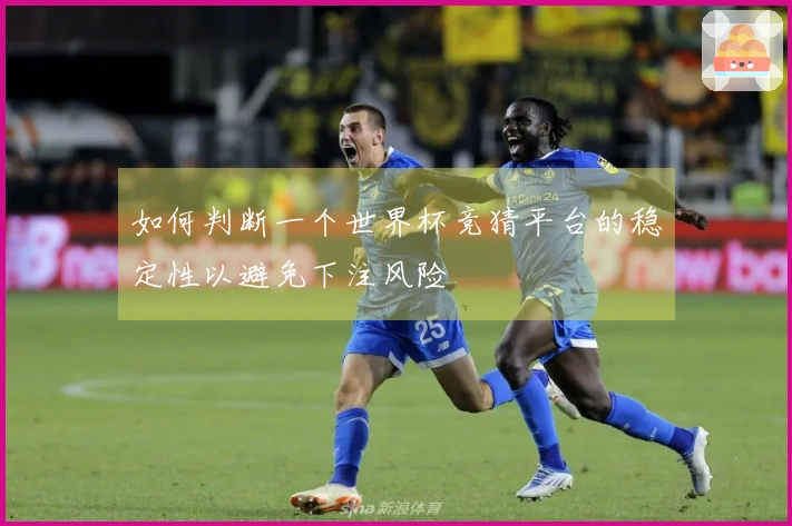 如何判断一个世界杯竞猜平台的稳定性以避免下注风险